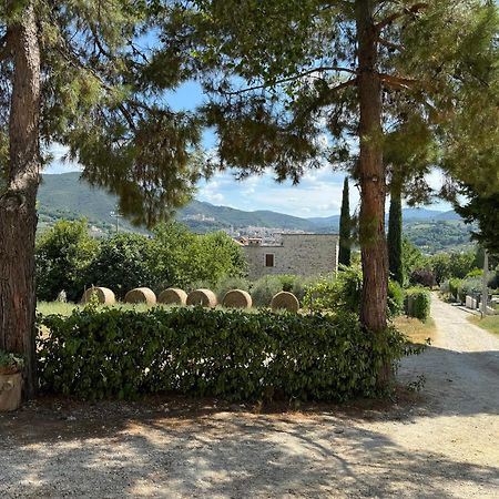 Affittacamere L'Antico Seminario Spoleto Esterno foto