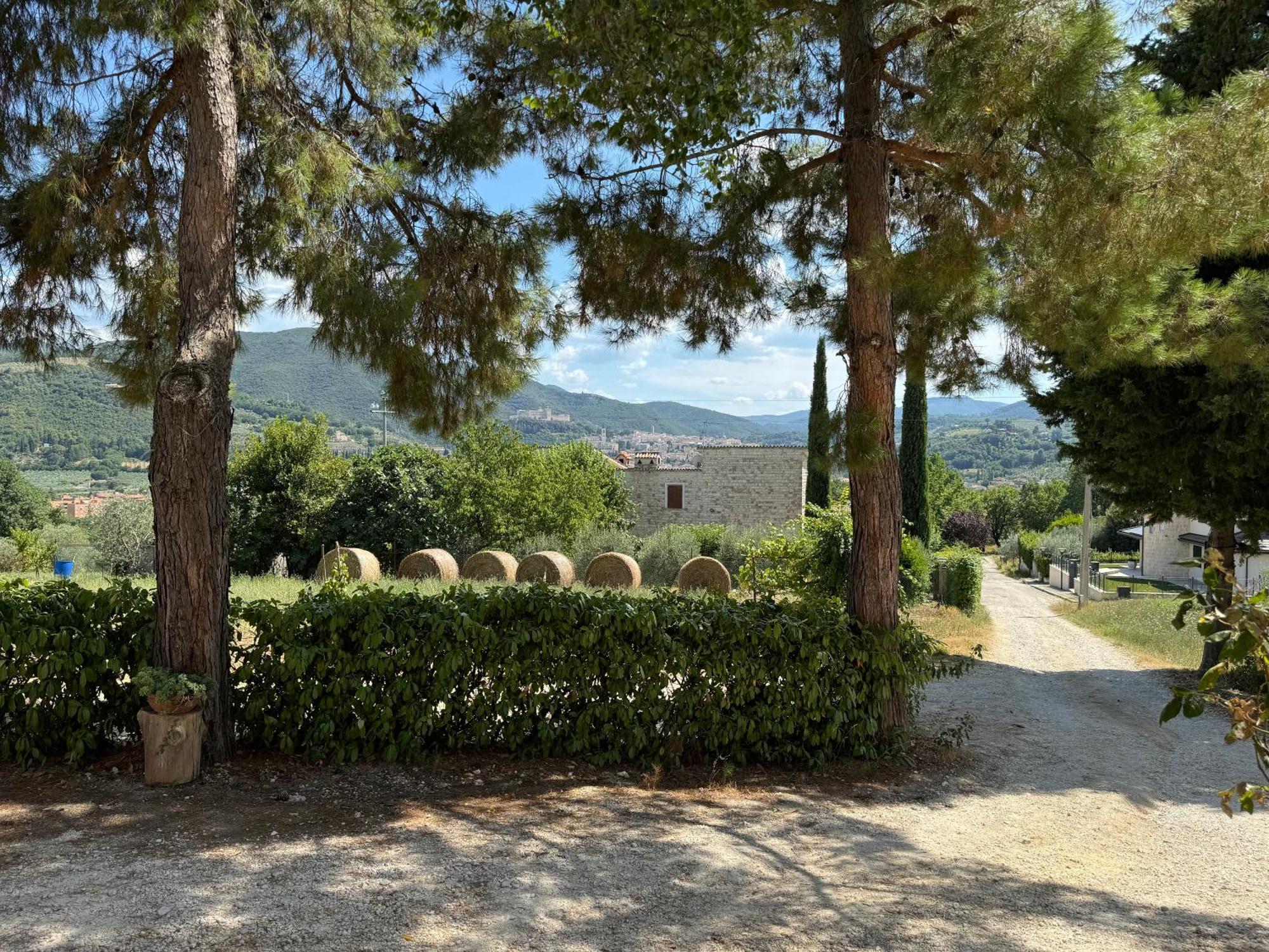 Affittacamere L'Antico Seminario Spoleto Esterno foto