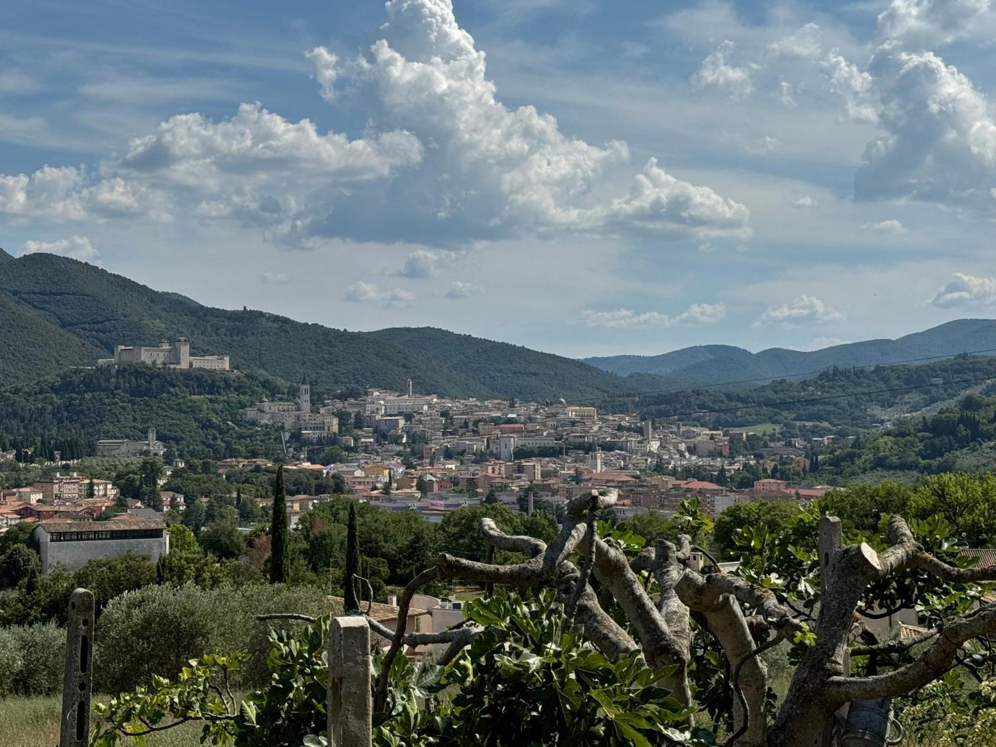 Affittacamere L'Antico Seminario Spoleto Esterno foto